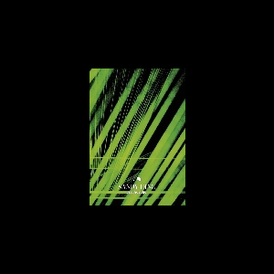 Sandy Ding – Psychoecho