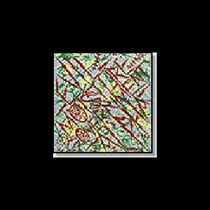 Government Alpha : Evil Moisture – Solid Pink (Split)