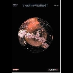 Tempsion – Live At L'étrange Musique