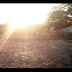 March – Pictures Come And Break Myself