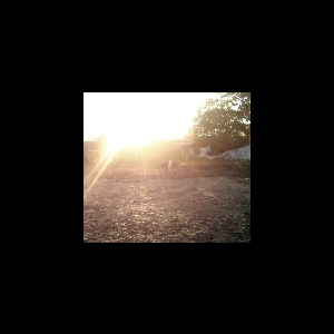 March – Pictures Come And Break Myself