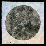 Demontré – Masculin / Féminin