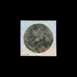 Demontré – Masculin / Féminin