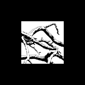 Sir Alice – For The Birds
