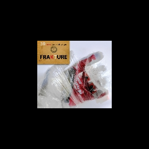 Frakture (Sergei Papail) – 30 - Eine Anthologie