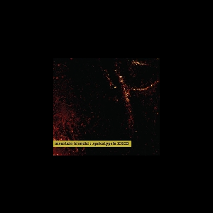 Maurizio Bianchi – Apokalypsis Xxiii