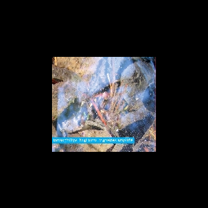 Tomas Phillips / Luigi Turra – Vignettes Amplifié