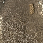 The Driftwood Manor – The Same Figure Leaving (Ltd. 50)