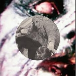 Pink Priest – Honeysuckle