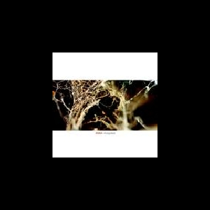 Anna – Araignées