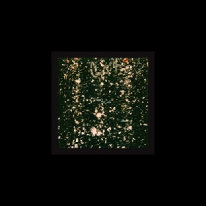 L'objet – Plank