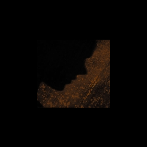 Sicnoise – The Double Experience