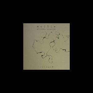 Ollivier Coupille – Maille