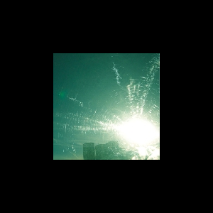 Trunks – On The Roof