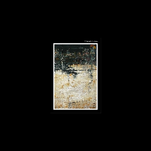 Cezary Gapik – Vanishing