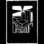 Crywolf – Swimmin' Home / H-4