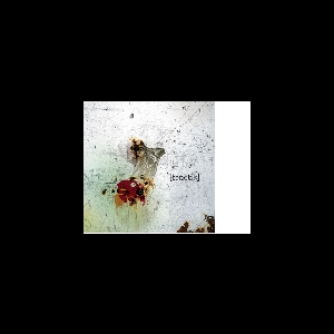 Fonetik (Émilie Lesbros) – Prosodi