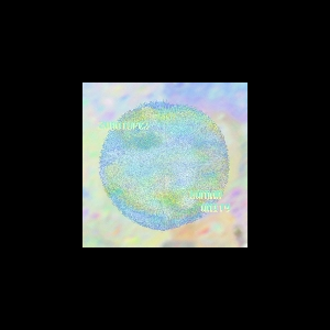 Zonotope™ – Human Unity (Ltd. 70)