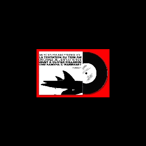 Arnaud Maguet - Olivier Millagou - King Kameha - Warmbaby – D'une Dérive L'autre Ou La Tentation Du Twin Fin