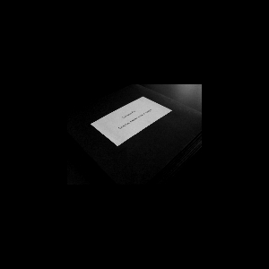 Thomas Bel – Lumières, Ombres, Voix Et Visages