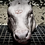 Danisco (For Beauty) – Iv