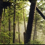 Sowing Paranoia – Research Music Lab