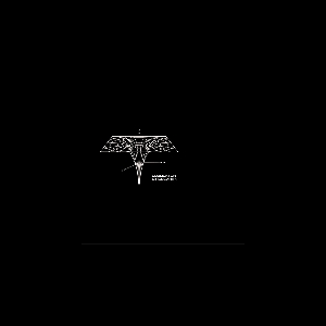 Dublicator – Singularity