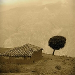 Michel Titin-Schnaider – D'après Pangéa