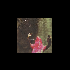 G.d.z. – The Lurking Fear