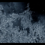 Wade Matthews - Alfredo Costa Monteiro – Winter