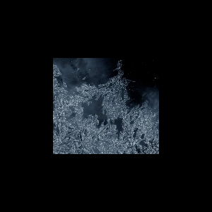 Wade Matthews - Alfredo Costa Monteiro – Winter