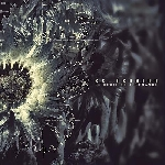 Ex-Tension – Le Seuil De Tolérance