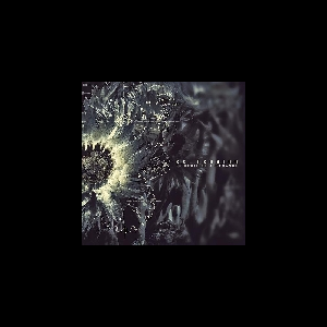 Ex-Tension – Le Seuil De Tolérance