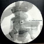 David Grubbs – The Coxcomb