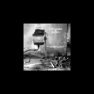 Elektrojudas & Emerge – Elektronische Improvisationen Für Den Dienstgebrauch