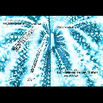Verwandlung (Eazy - Gerhard Zander - Emerge) – Das Audiovisuelle Kollektiv