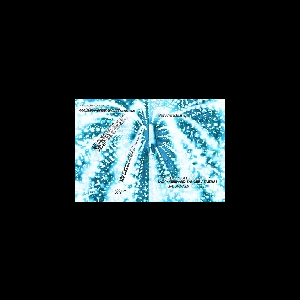 Verwandlung (Eazy - Gerhard Zander - Emerge) – Das Audiovisuelle Kollektiv