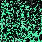 Frog (Brume Side Project) – Frog 2