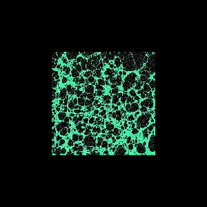 Frog (Brume Side Project) – Frog 2