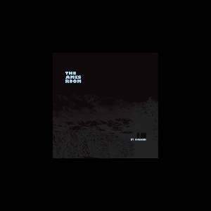 The Ames Room (Jean-Luc Guionnet - Will Guthrie - Clayton Thomas) – St Johann