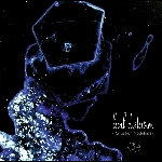 Local Distorsion – Situation Modulaire