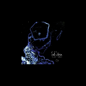 Local Distorsion – Situation Modulaire