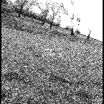 Henning Specht – Kiehlufer 73