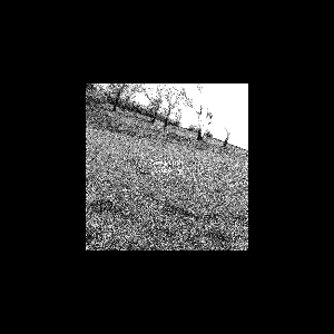 Henning Specht – Kiehlufer 73