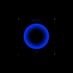 Wilfried – Matrice