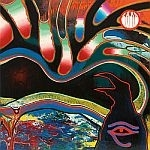 Sand – North Atlantic Raven (Orange & White)