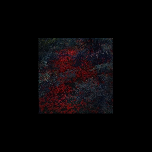 Alex Cobb – Marigold And Cable