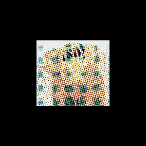 ¡No! – S/T