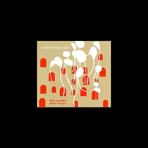 Rémi Gaudillat - Bruno Tocanne – Canto De Multitudes