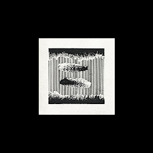 Nicolas Muller / Stephen Sarrazin – Sans Titre / Woody & Steina Vasulka : The Other Wave